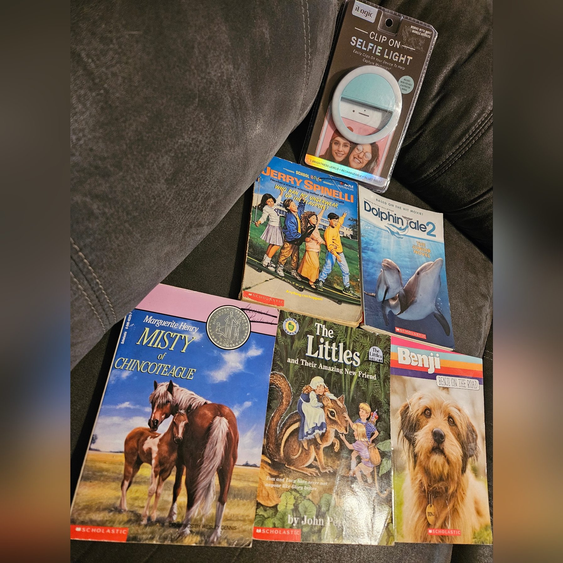 Scholastic Books Bundle